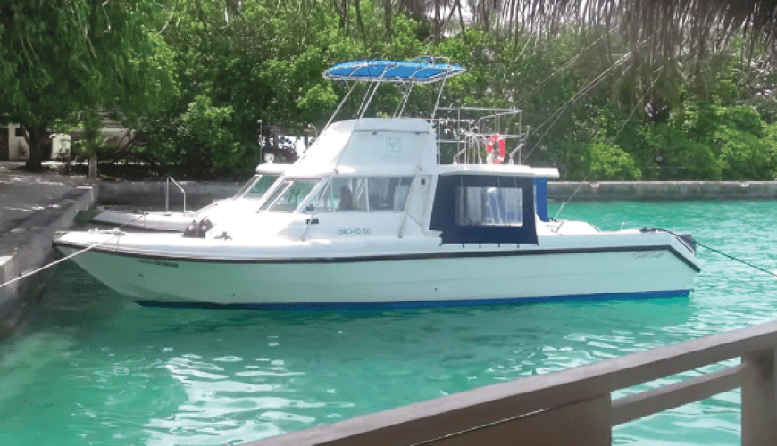 Maldives Speedboat