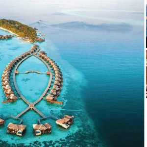 lily beach resort maldives
