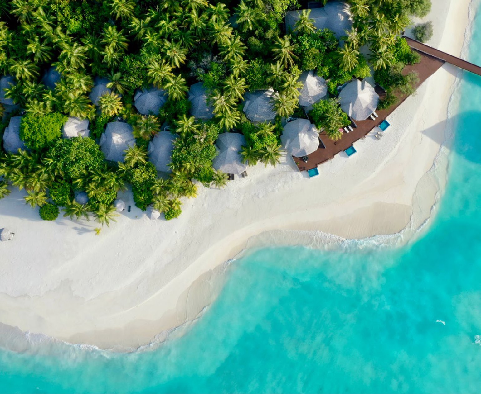 Kihaa Maldives: Experience the Magic of Manta Rays