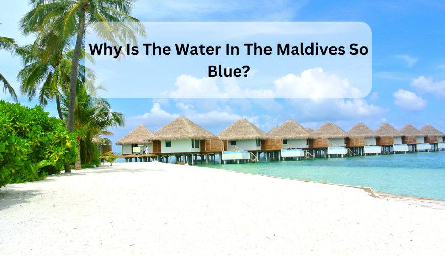 Why Is The Water In The Maldives So Blue?