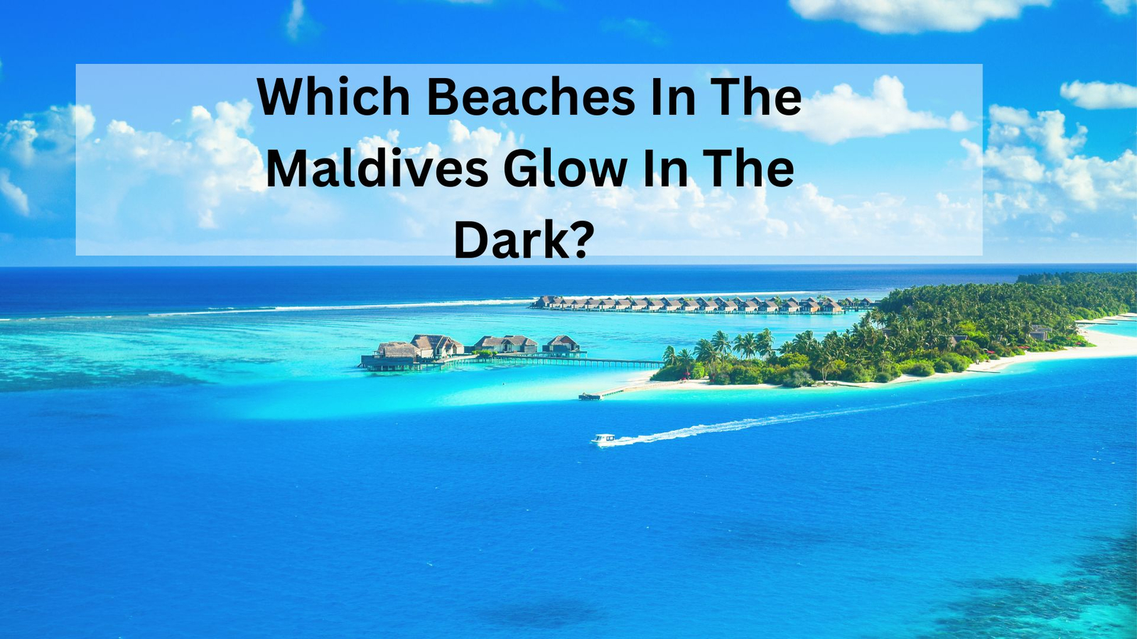 Which Beaches In The Maldives Glow In The Dark? 