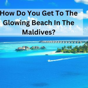 How Do You Get To The Glowing Beach In The Maldives?