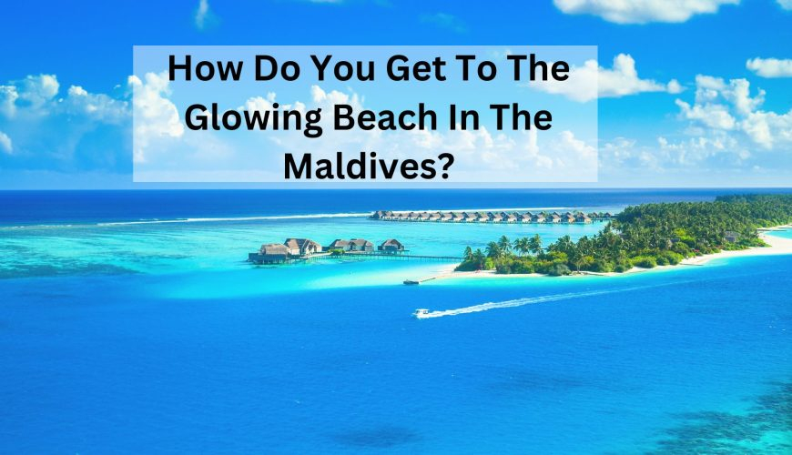 How Do You Get To The Glowing Beach In The Maldives?