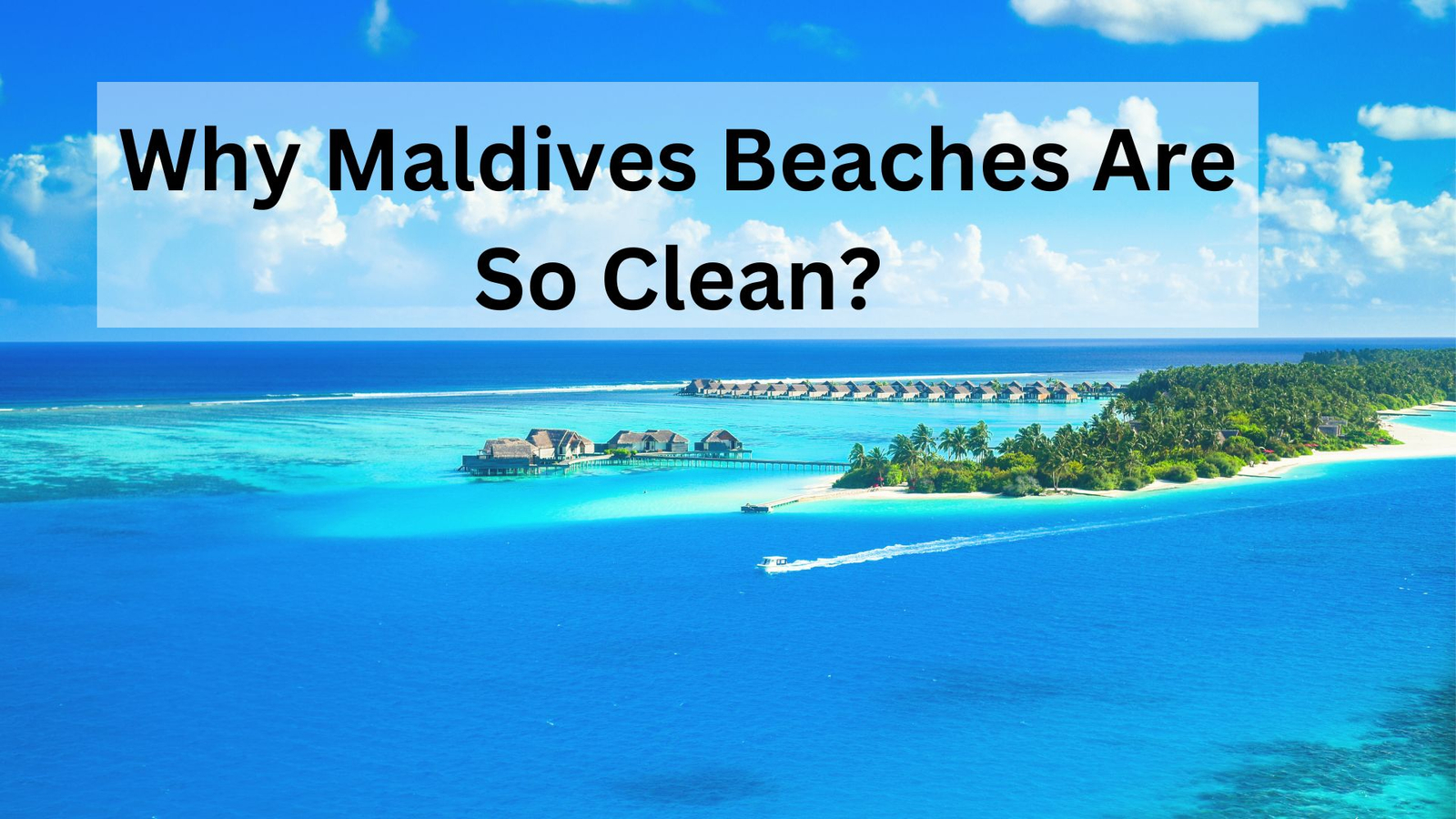 Why Maldives Beaches Are So Clean?