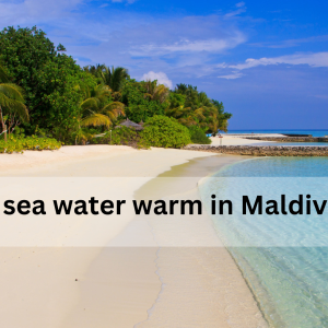 Is The Sea Water Warm In The Maldives?