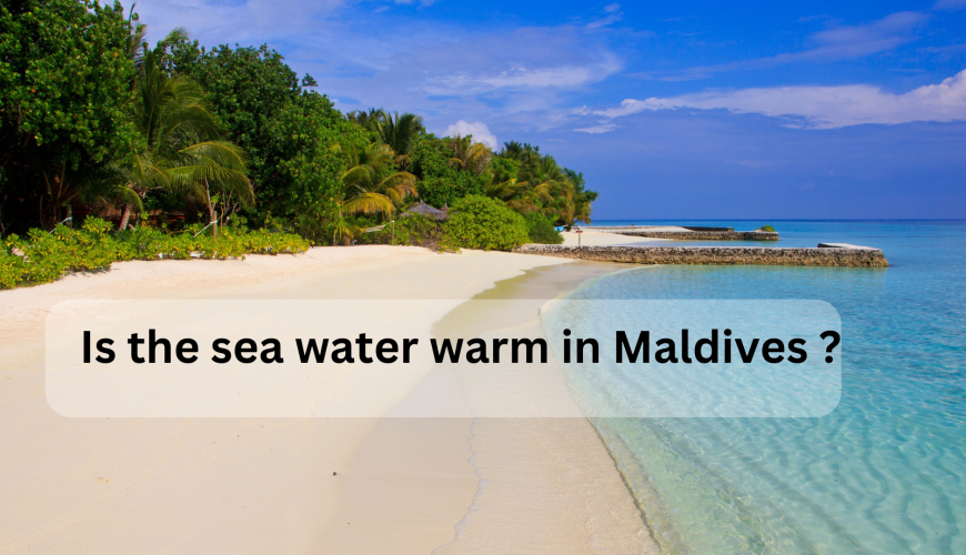 Is The Sea Water Warm In The Maldives?