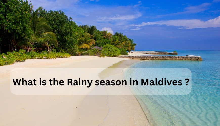 What is the Rainy season in Maldives ?